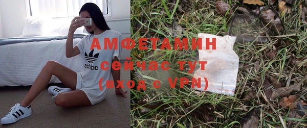 ГАЛЛЮЦИНОГЕННЫЕ ГРИБЫ Михайловка