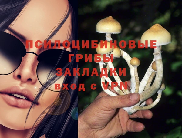 наркотики Михайлов