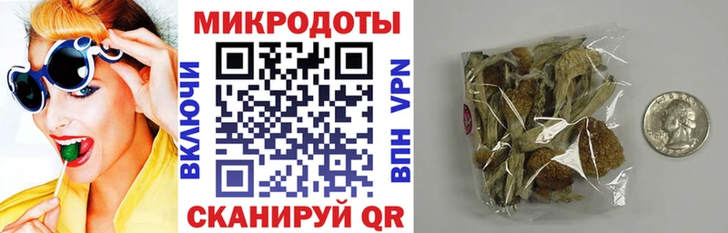 Галлюциногенные грибы прущие грибы  Дмитровск 