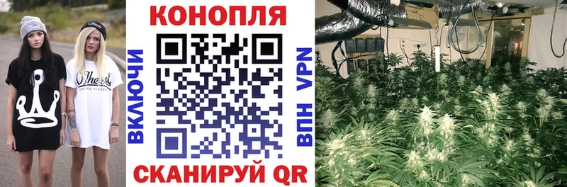 Шишки марихуана SATIVA & INDICA  Дмитровск 